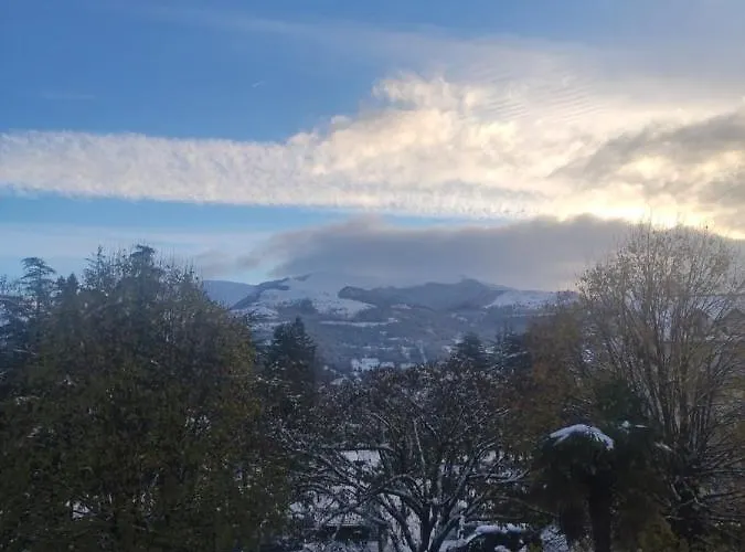 T2 Avec Terrasse Vue Hautacam Dans Villa Historique \